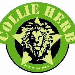 Collie Herb Philippines
