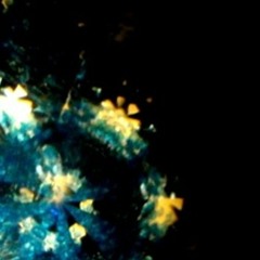 a petal(demo)
