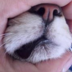 Polina Alexándrovna 1