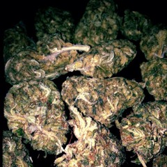 IKantTrustASoul