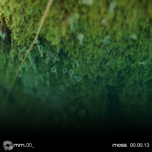 SoundCloud profile picture for @moss