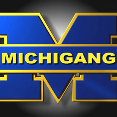 Michigang Inc