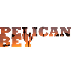 Pelican Bey