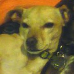 Merith Priess-Pierce