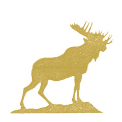 Golden Moose