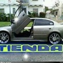 user915381022