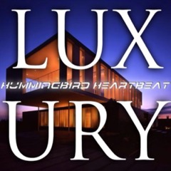 Hummingbird_Heartbeat