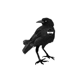 V3ll Crow