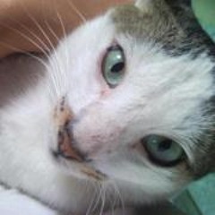 Sharon Malenab Limos