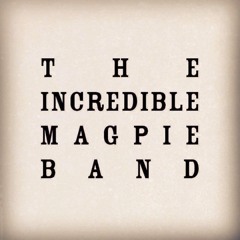 TheIncredibleMagpieBand
