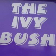 Ivy Bush