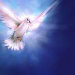 Leanne Bumble Seniuta