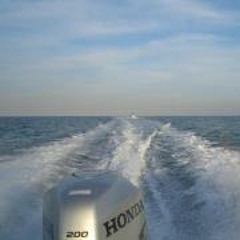 MsElaineus Atall Tale