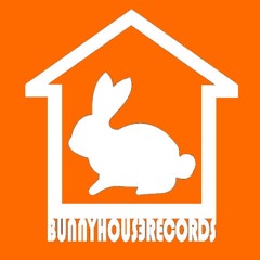 BUNNYHOUS3 RECORDS LLC