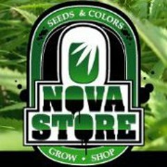 Nova Seeds