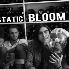 Static Bloom