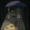 Para Pluie 1