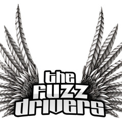 The Fuzz Drivers