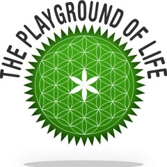 playgroundoflife