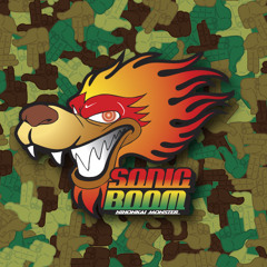 Ryu-the-Dancehaller from SONIC BOOM