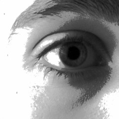 WiseLeyes