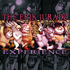 Erik Jurado Experience