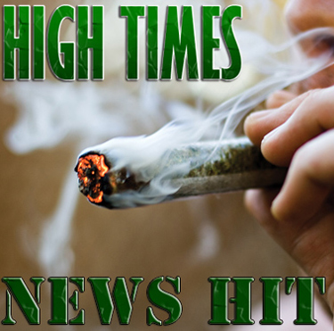 News Hit - Friday, August 9, 2013