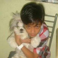 Knick Denver Abungan