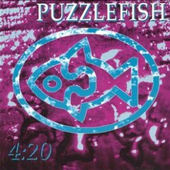 Puzzlefish_demos
