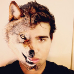 wolfandahalf