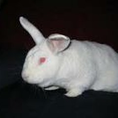 Yzh Love Girls-Generation