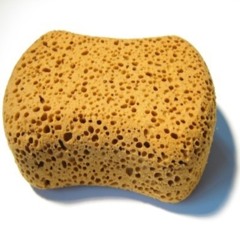 electrosponge