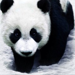 WU-PANDA