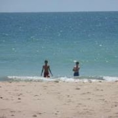 Charles Danjou-Le Roi