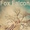 Fox Vs Falcon