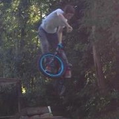 Alistair Chimp Young