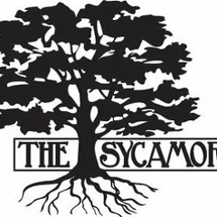 Sycamore2013