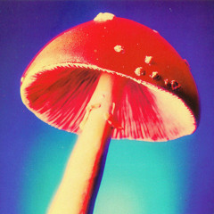 Julio Placebo