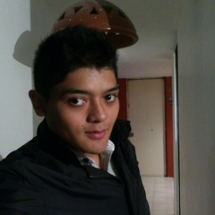 hector333z
