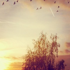 SunriseForAPenny