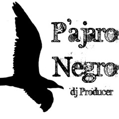Pàjaro Negro
