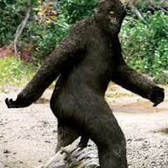 Bigfoot stole a Cupcake