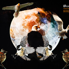 UNconventional Netlabel 1