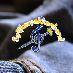 BBDeSpijkerpakkenband