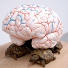 Philippine de Miribel