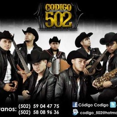codigo502