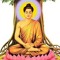 Sơn Sí Sớn