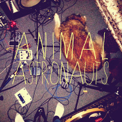 Animal Astronauts