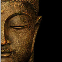 ADROCK(PHL)(ALEXSANDER)