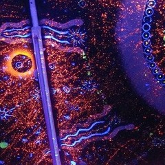 Progressive 2013 set